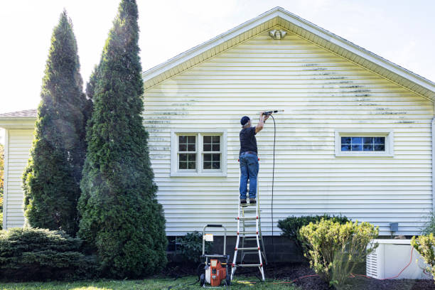Best Solar Panel Cleaning  in Saegertown, PA